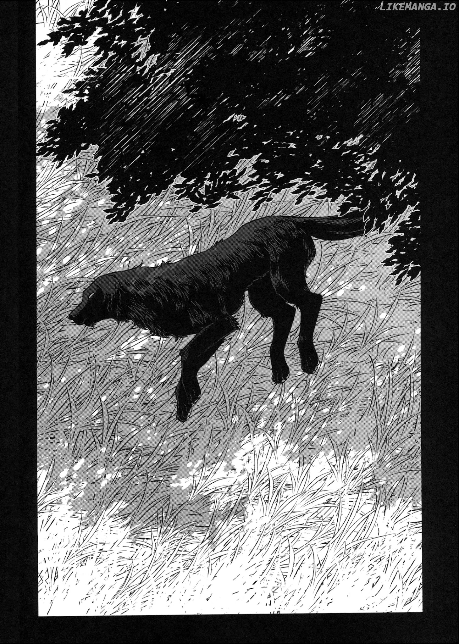 The Ancient Magus Bride, Chapter 79.5 image 05